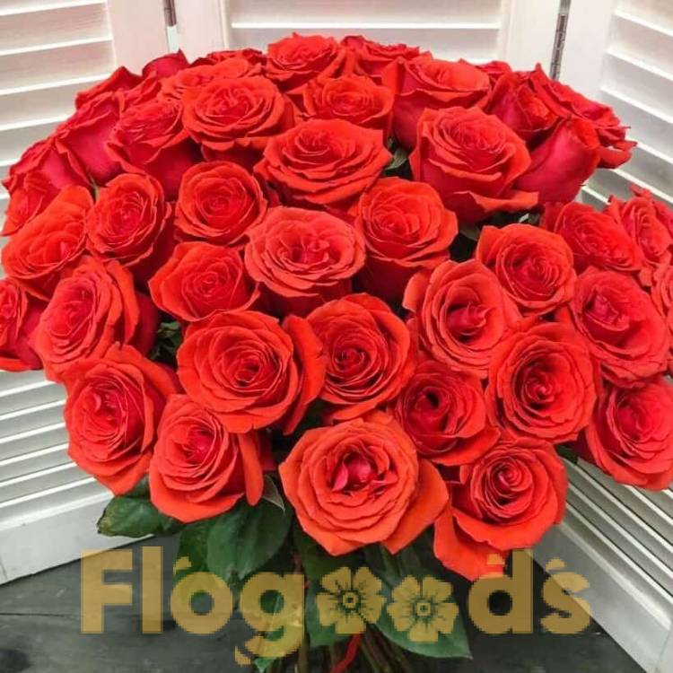 51 красная роза за 19 579 руб.